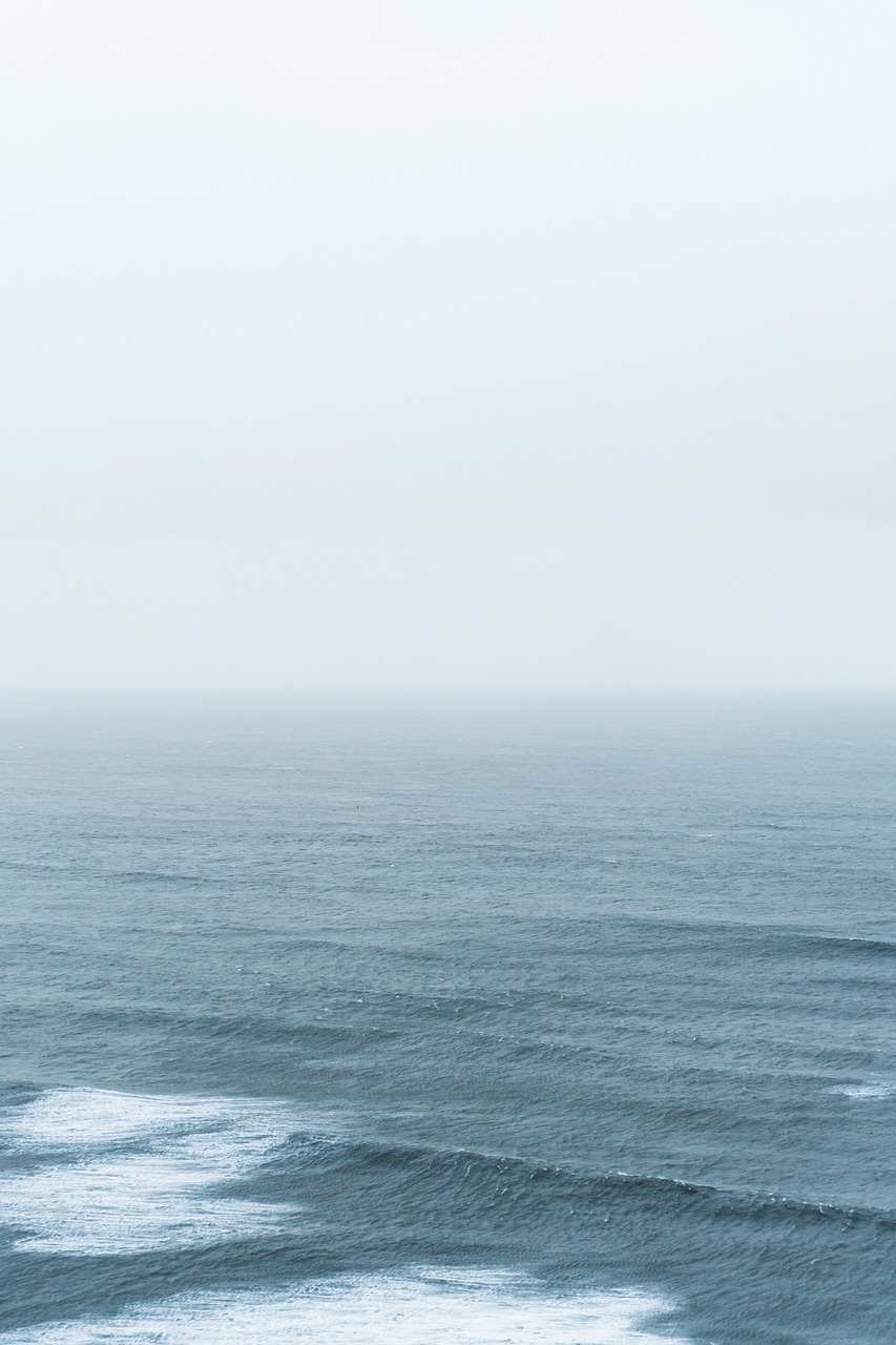 葉淼與葉水墨,探索藝術(shù)與生活的無限可能最新動(dòng)態(tài)