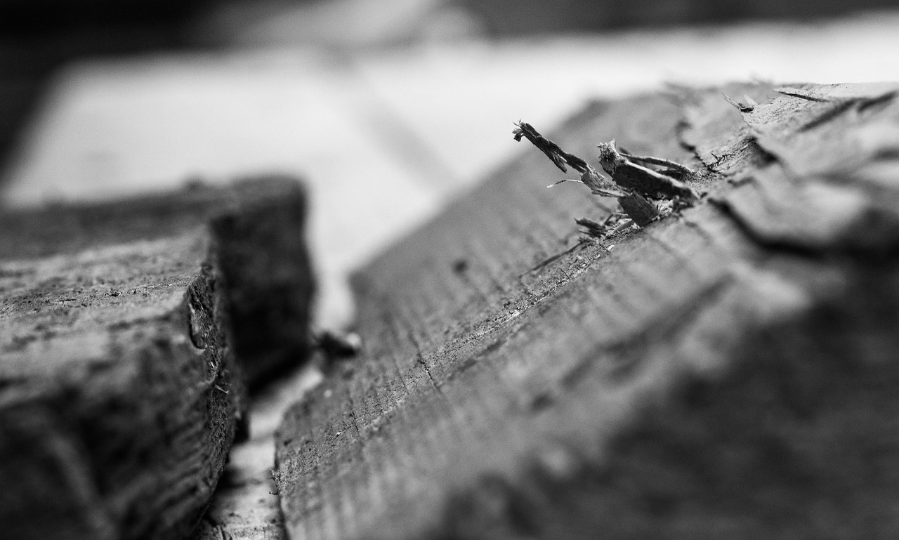 豬棚建設(shè)新動態(tài),創(chuàng)新理念與技術(shù)驅(qū)動畜牧業(yè)革新