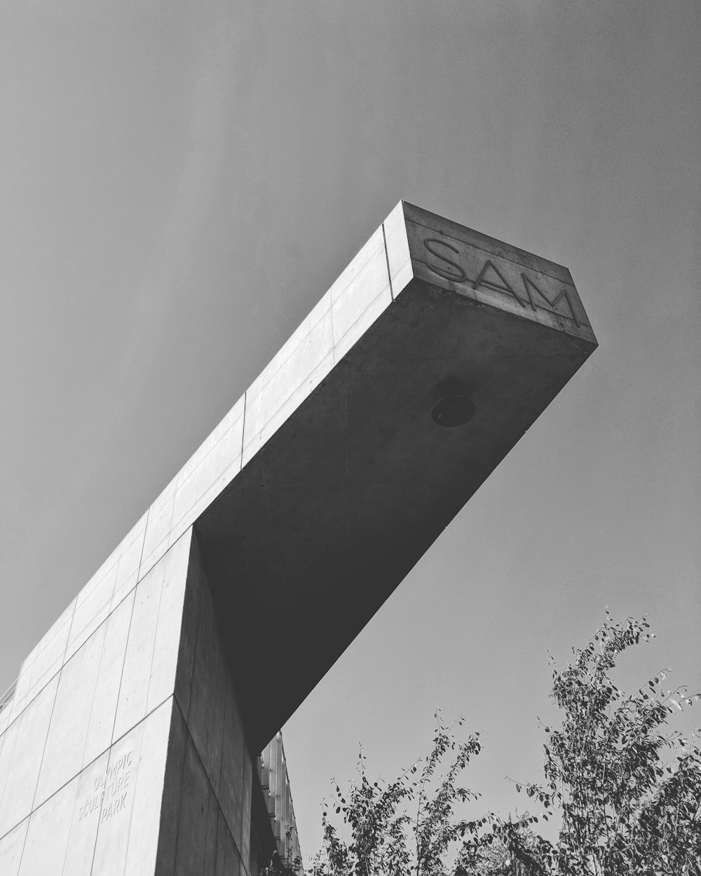 NGAGO最新動態(tài),引領科技革新與產業(yè)變革的未來之路