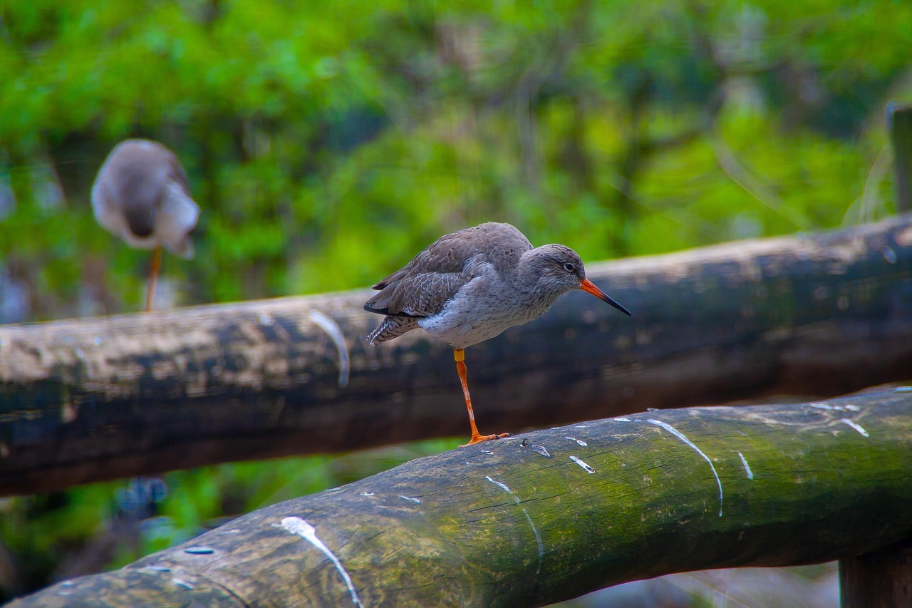 中國(guó)疫情最新動(dòng)態(tài),全面應(yīng)對(duì)與積極進(jìn)展的最新報(bào)告