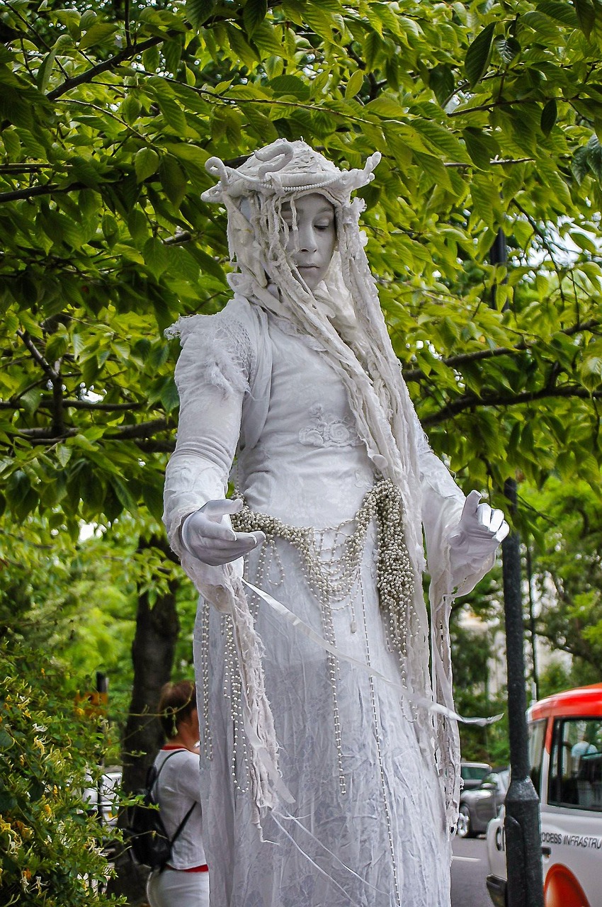 范增演員,演藝之路的閃耀之星