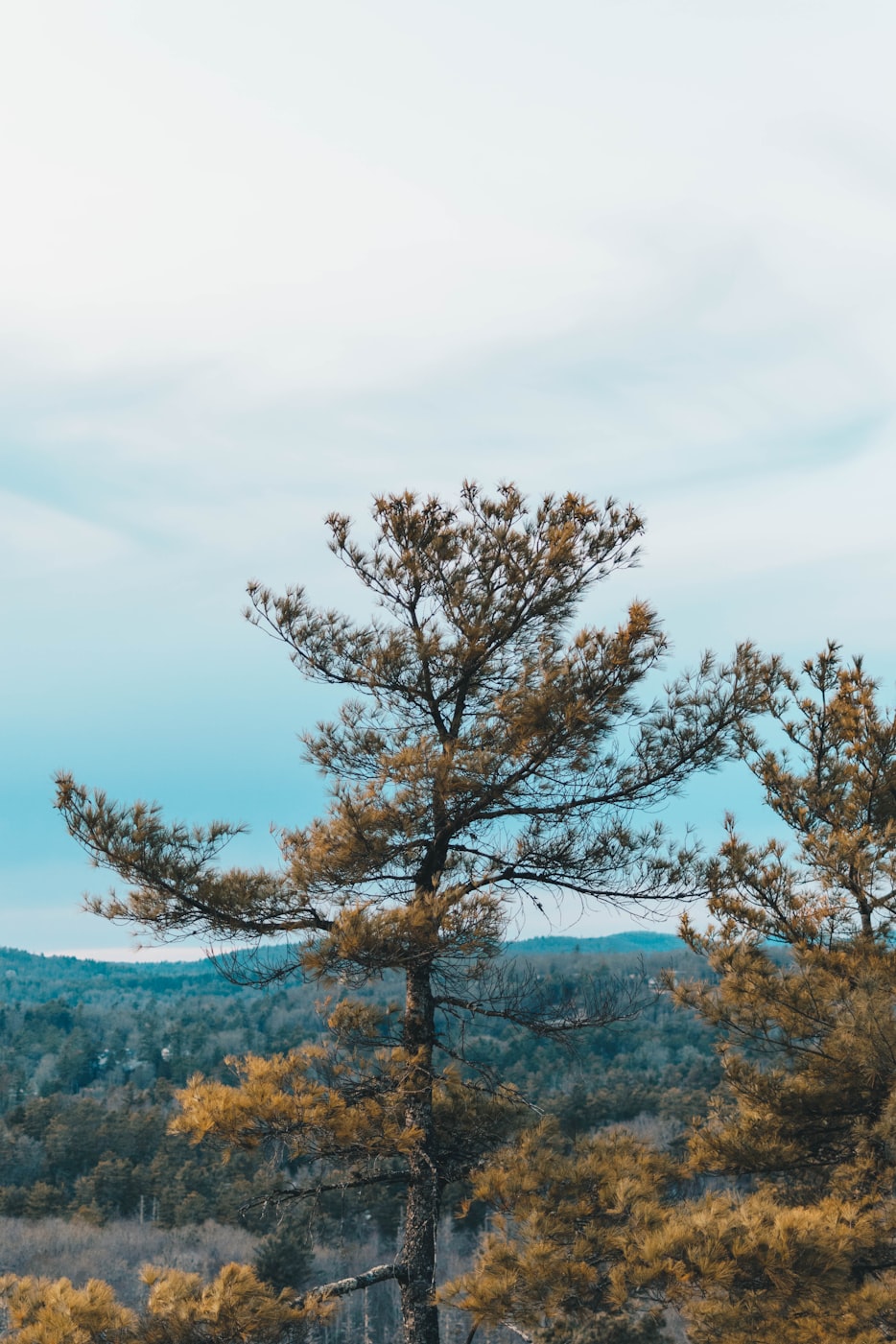 新津旅游攻略，自然美景與人文底蘊的完美融合探索