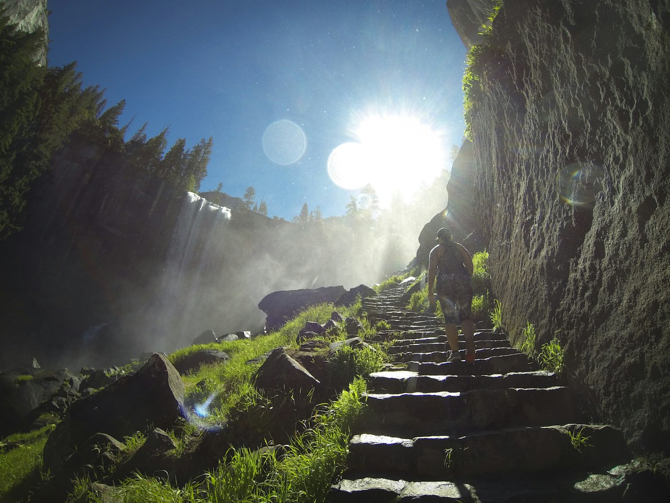 免費(fèi)動(dòng)漫應(yīng)用，探索與體驗(yàn)之旅