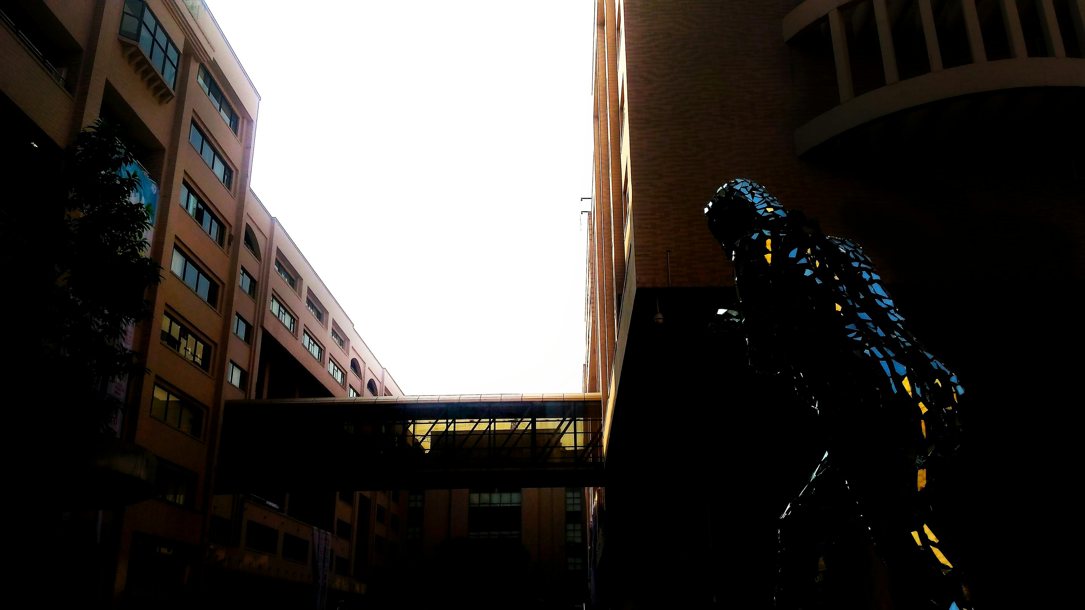 波蘭菲古拉比賽過程圖——視覺與藝術(shù)的盛宴