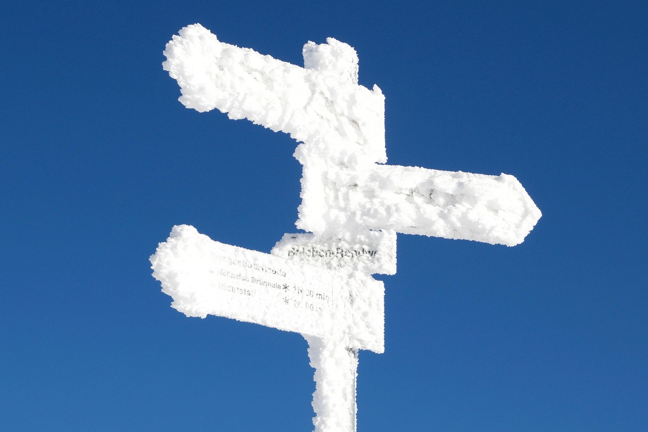 廢舊塑料行情深度解析,市場(chǎng)趨勢(shì)與前景展望