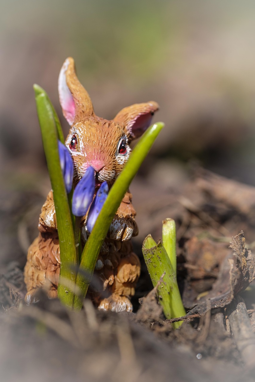 最新微博動(dòng)態(tài),時(shí)代脈搏與年輕人的聲音匯聚之地