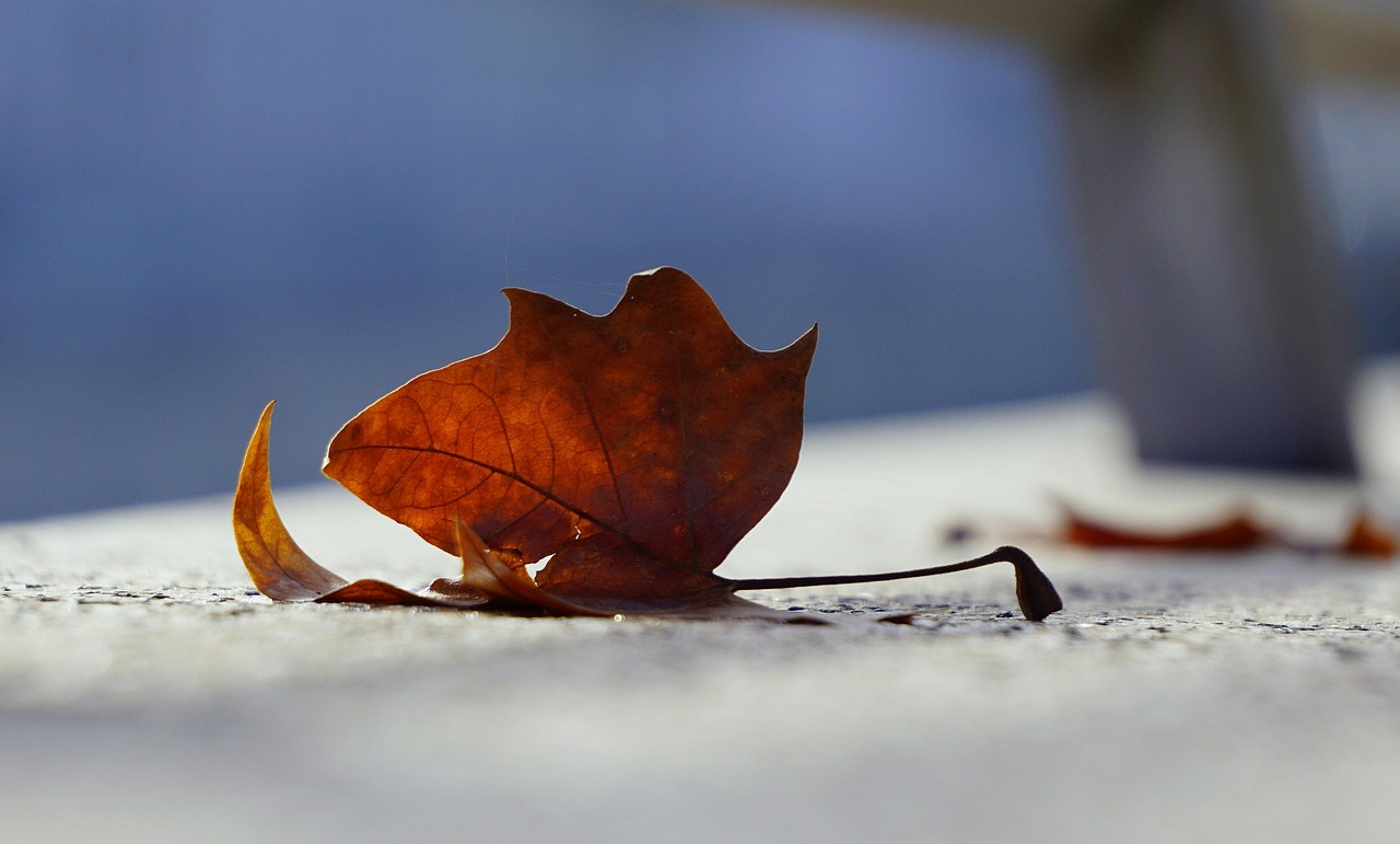 方盛制藥股票動(dòng)態(tài)，市場(chǎng)走勢(shì)分析與前景展望揭秘