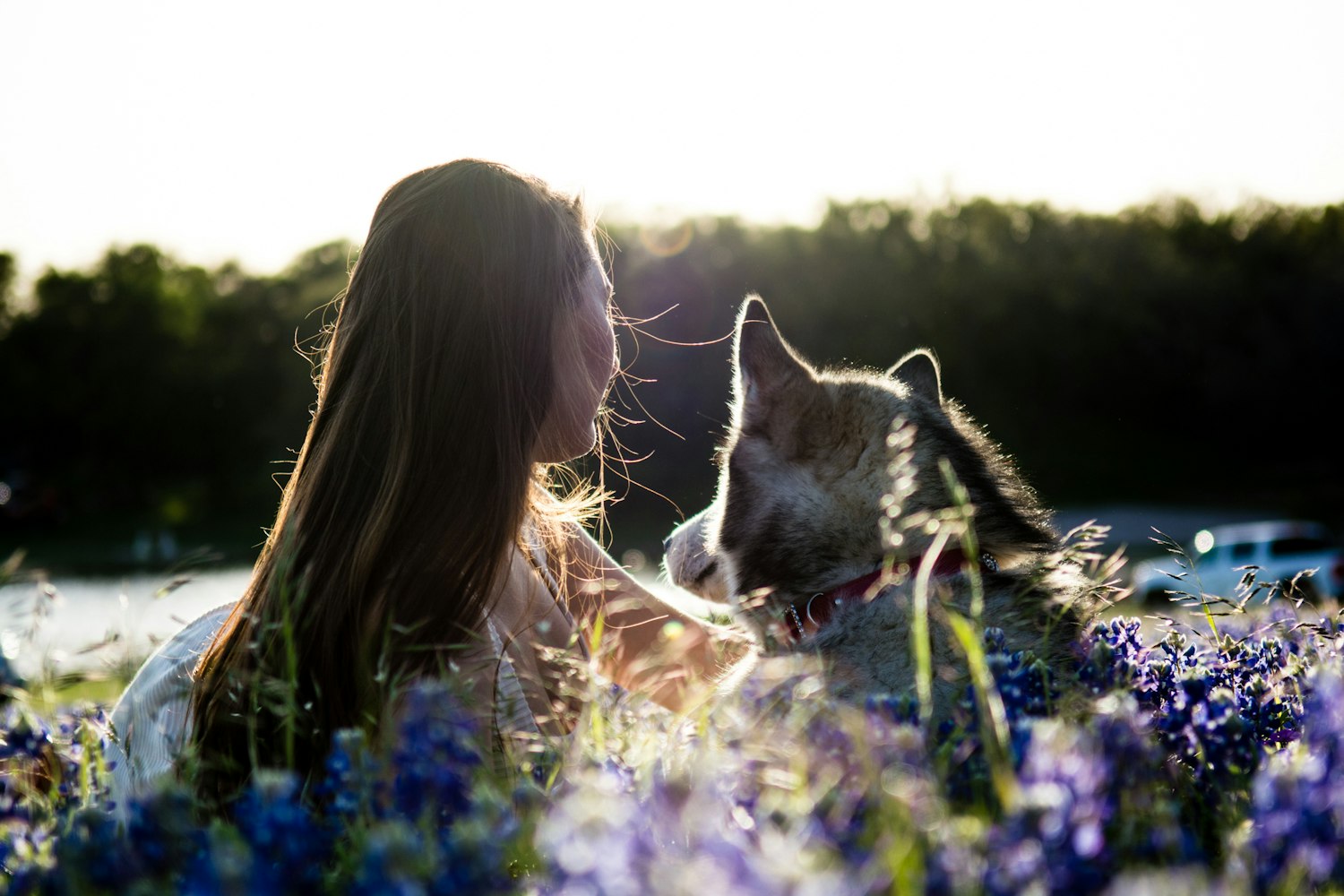 探索電影藝術(shù)深度,關(guān)于好的三級電影賞析