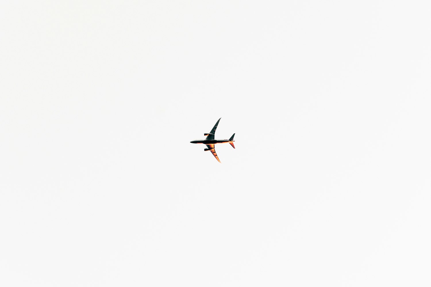 贛州最新疫情動態(tài)更新，疫情動態(tài)概述