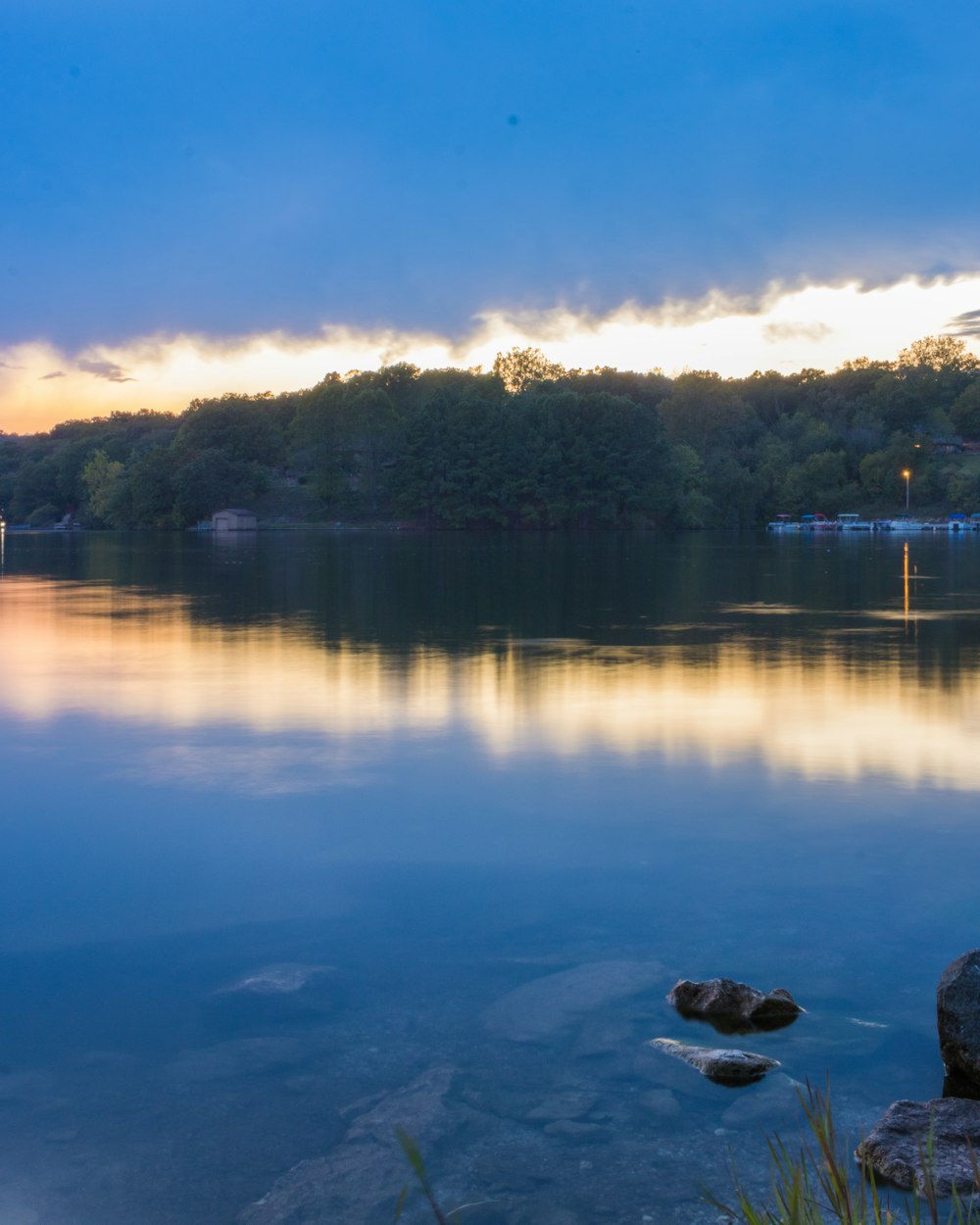 龍舟比賽圖片,展現(xiàn)團結(jié)與活力的壯麗畫卷