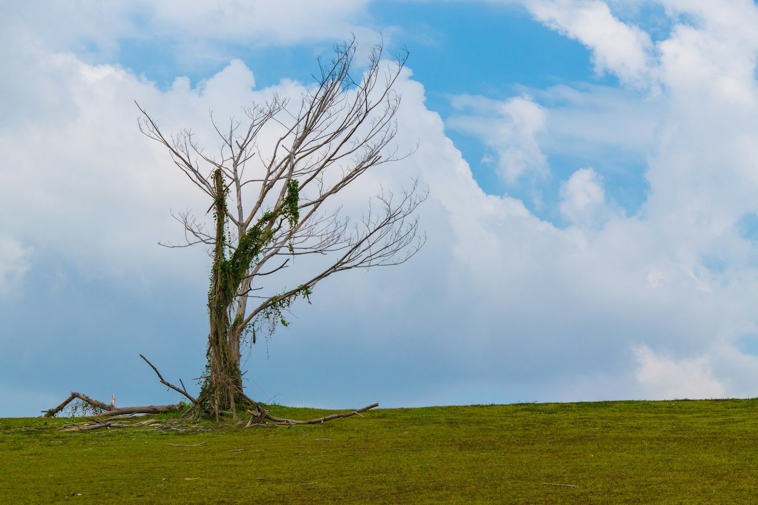 鎮(zhèn)江地鐵最新進(jìn)展，邁向現(xiàn)代化城市步伐的新動(dòng)態(tài)