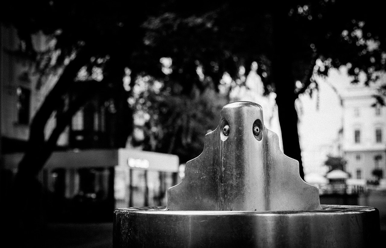 匯泉西悅城最新動態(tài)，城市發(fā)展的脈搏與未來展望解析