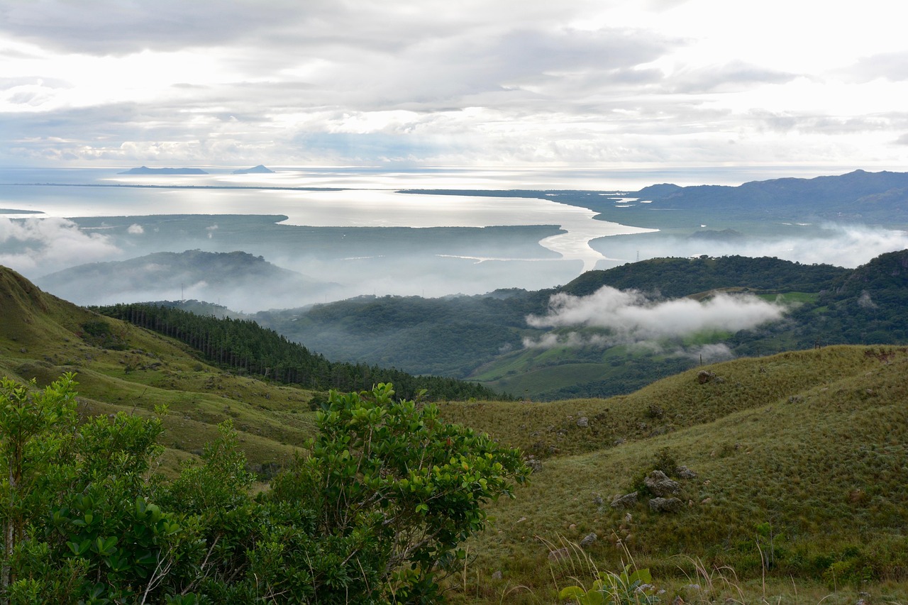 南山鋁業(yè)最新資訊,行業(yè)動態(tài)與市場展望