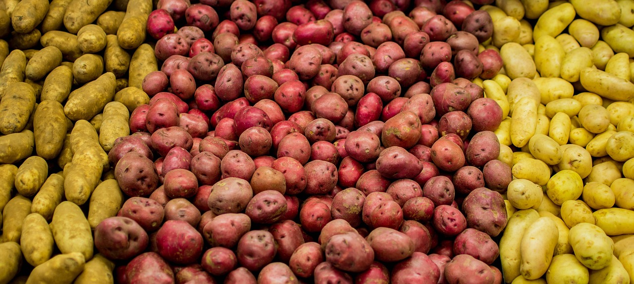 天獅禮包最新動(dòng)態(tài),引領(lǐng)健康產(chǎn)業(yè)創(chuàng)新與發(fā)展風(fēng)潮!