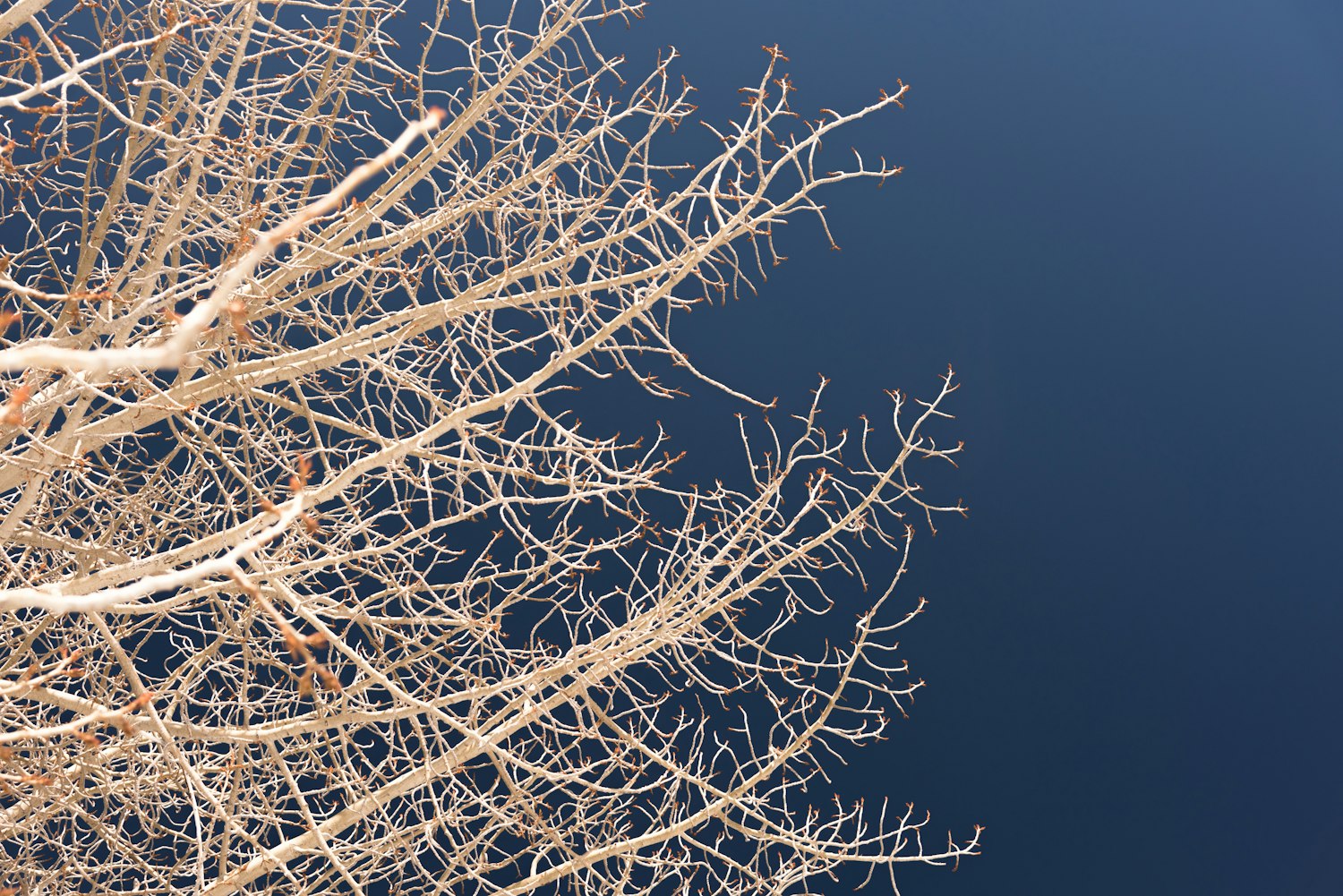 最新遂平氣象概述與天氣預(yù)報(bào)更新信息