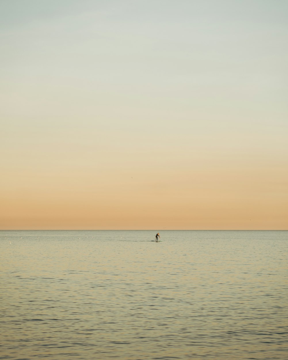 柏鄉(xiāng)最新動態(tài)，城市發(fā)展與進步的不懈探索