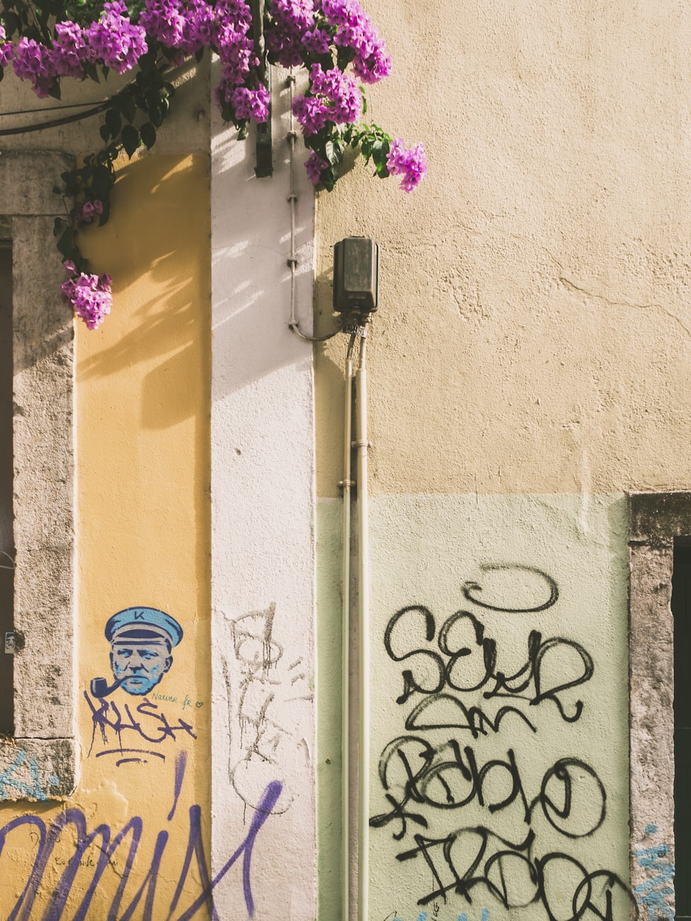 沫子最新動(dòng)態(tài)，探索前沿，潮流引領(lǐng)者