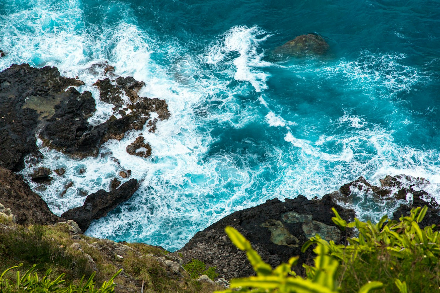 魚(yú)獲最新版本,探索海洋新時(shí)代的利器