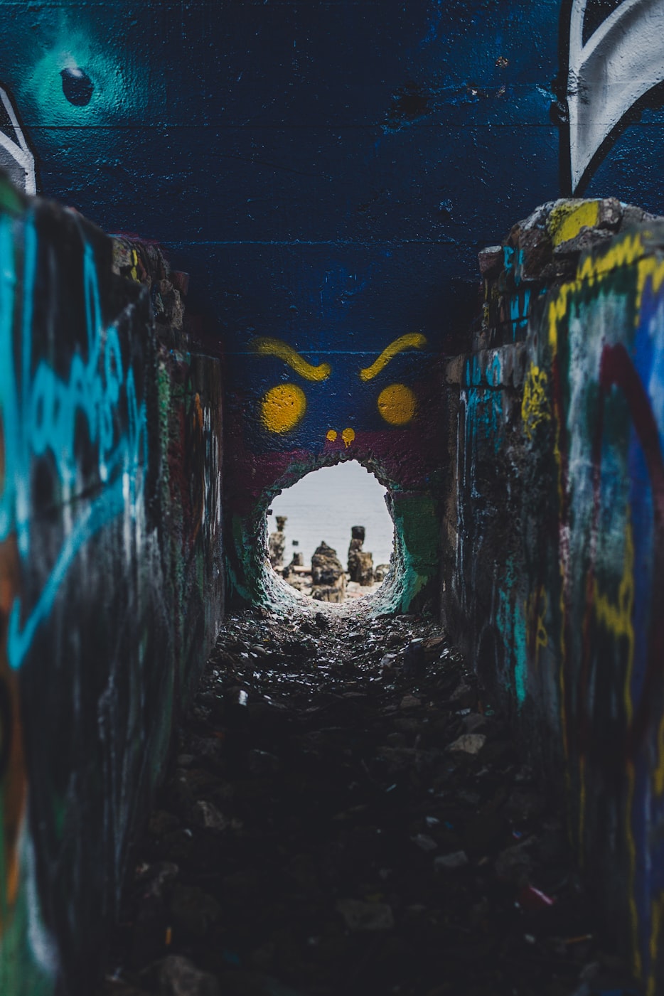 探尋未知領域,最新章節(jié)啟示錄