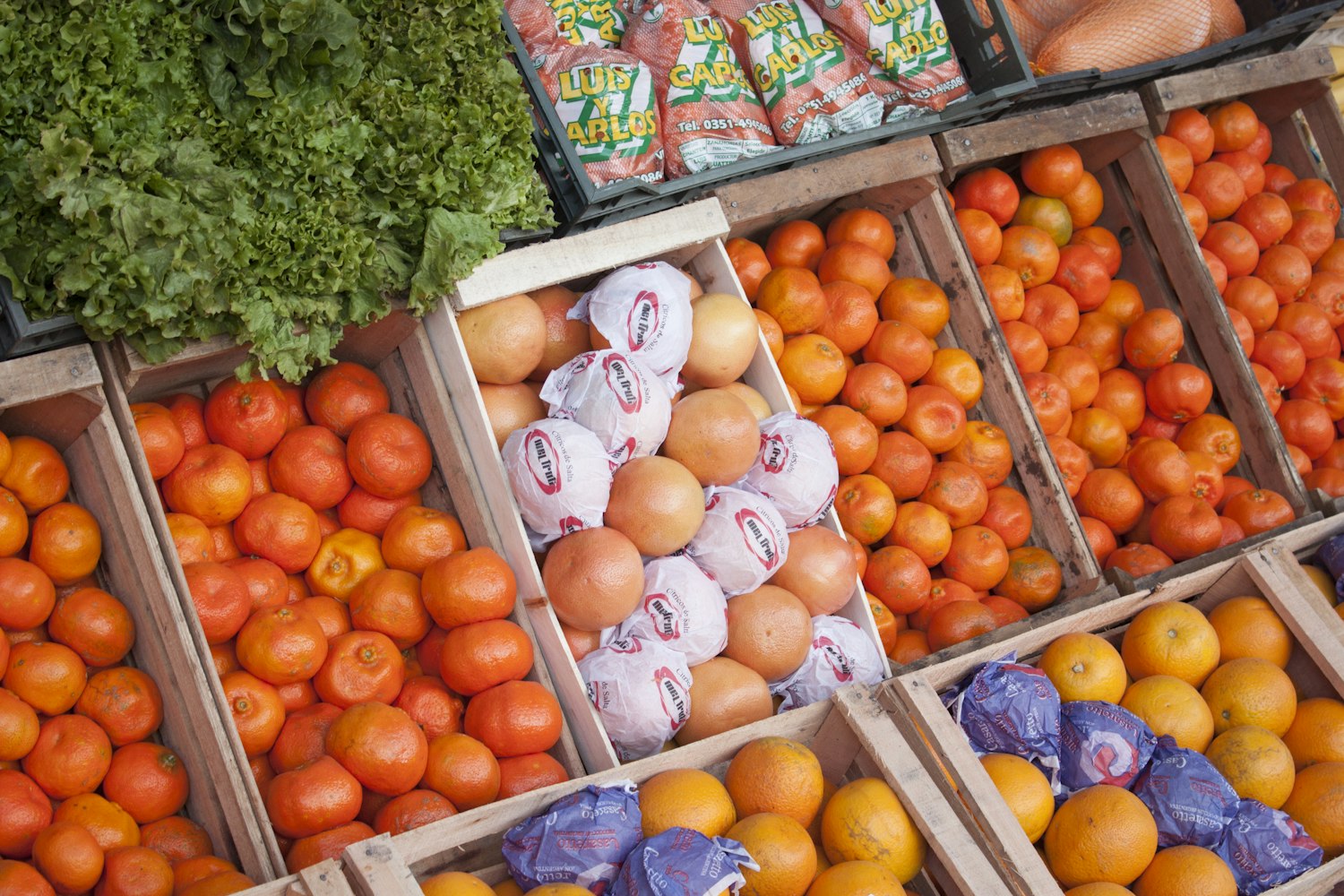 2025年12月24日 第5頁