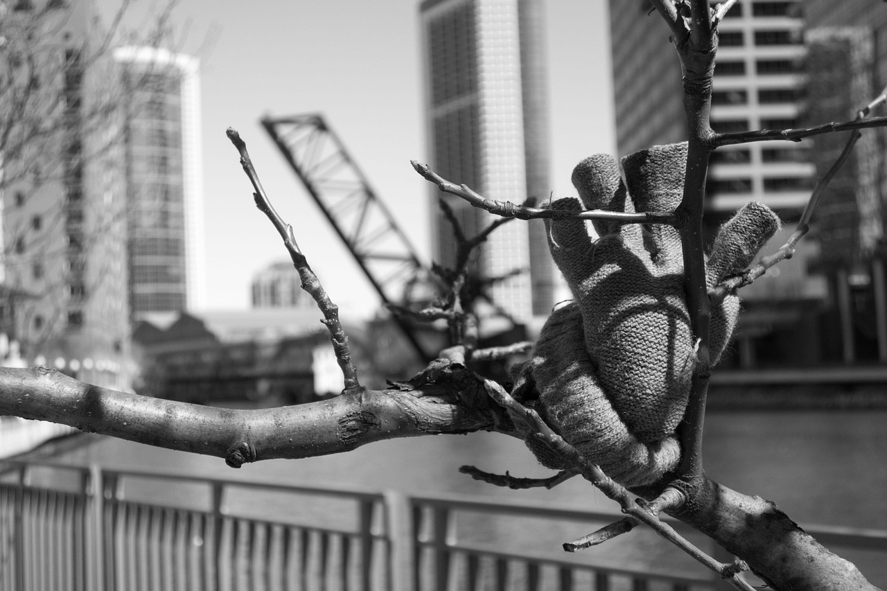 電影中的淫欲模特,藝術(shù)表達(dá)的探討