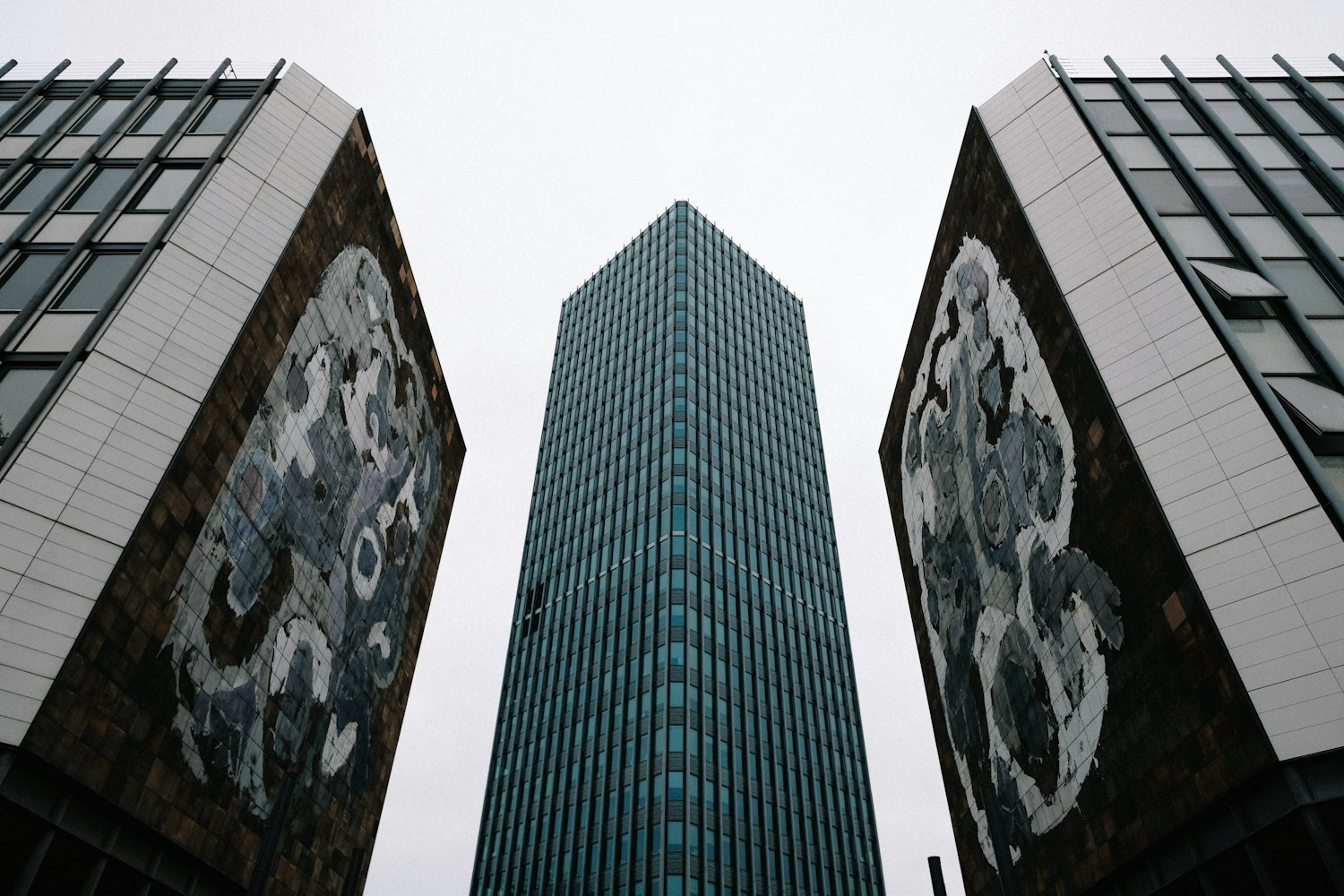 冬宮貓最新預(yù)測(cè),探索未來(lái)趨勢(shì)與機(jī)遇的洞察