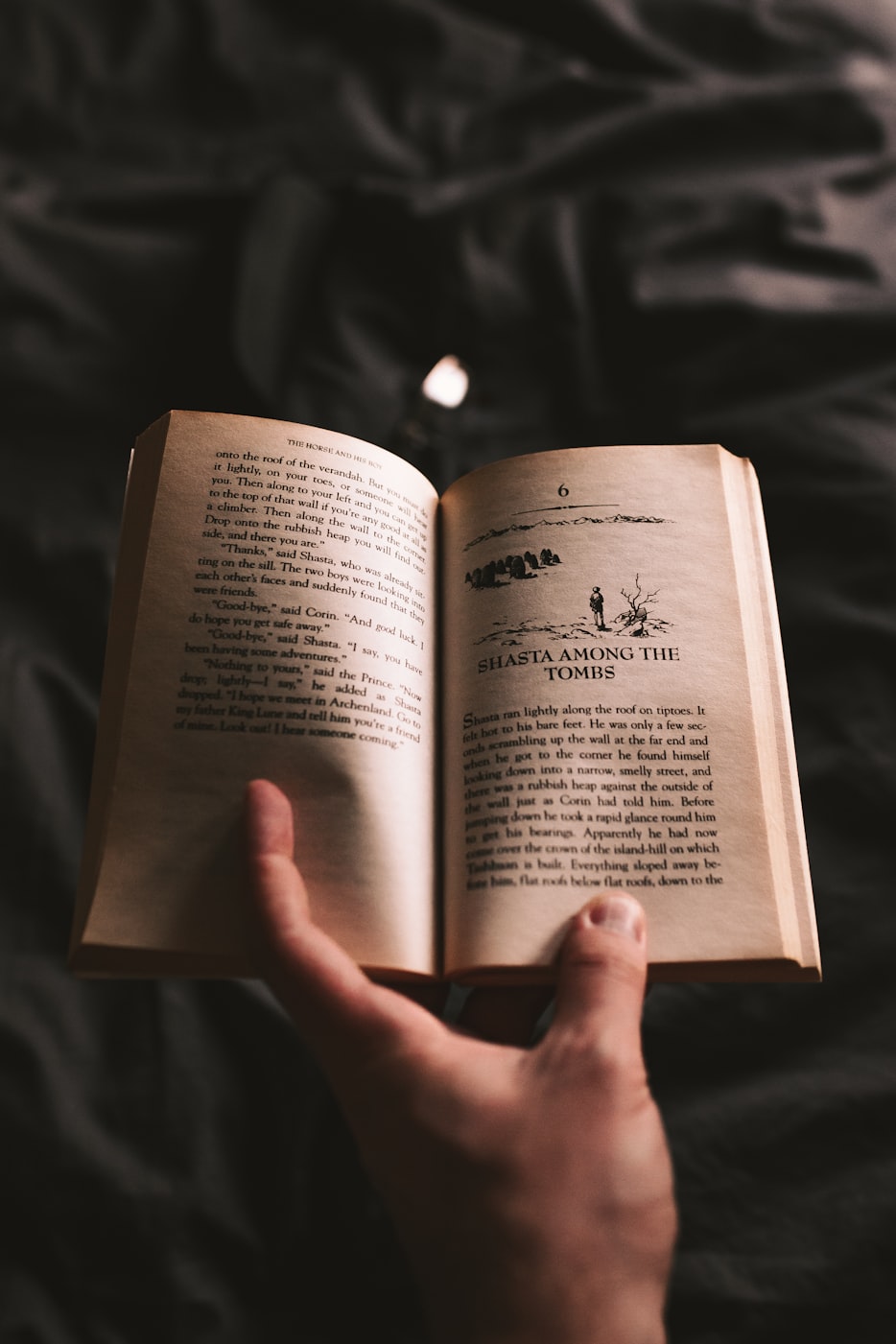 最新長篇小說合集，深度探索人性，廣度洞察世界