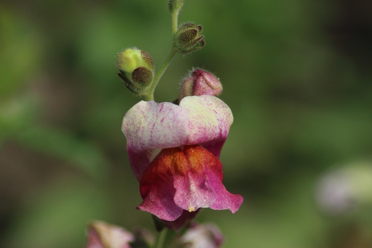 慶云縣人事任免動(dòng)態(tài),深度解析與最新進(jìn)展