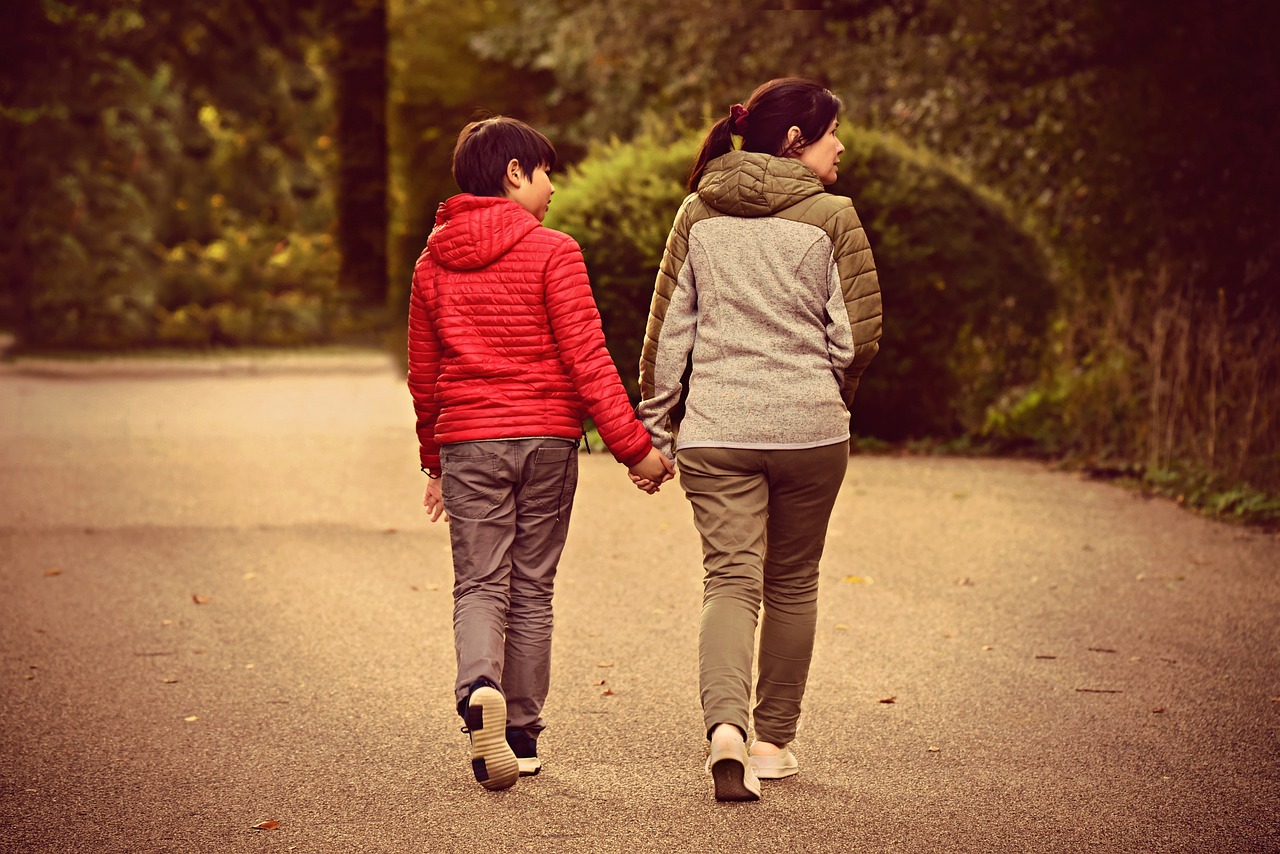 傲明星，光芒四射的閃耀之路