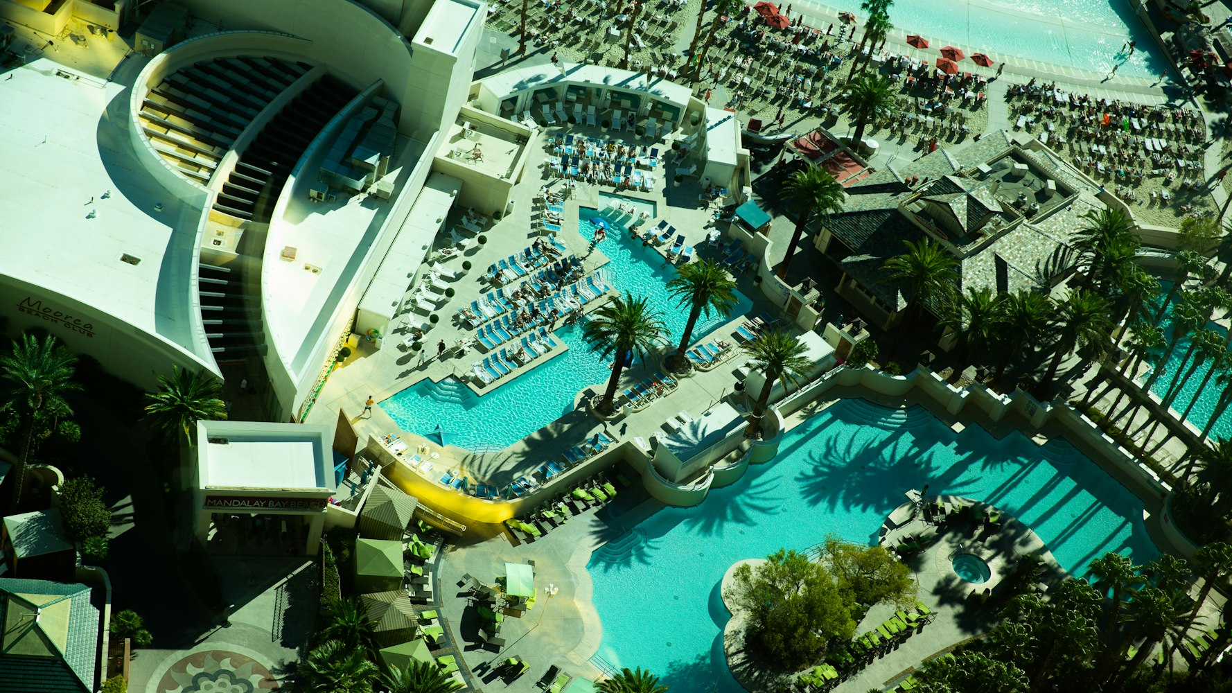 衛(wèi)光生物上市之路探尋,上市時機(jī)及進(jìn)程揭秘