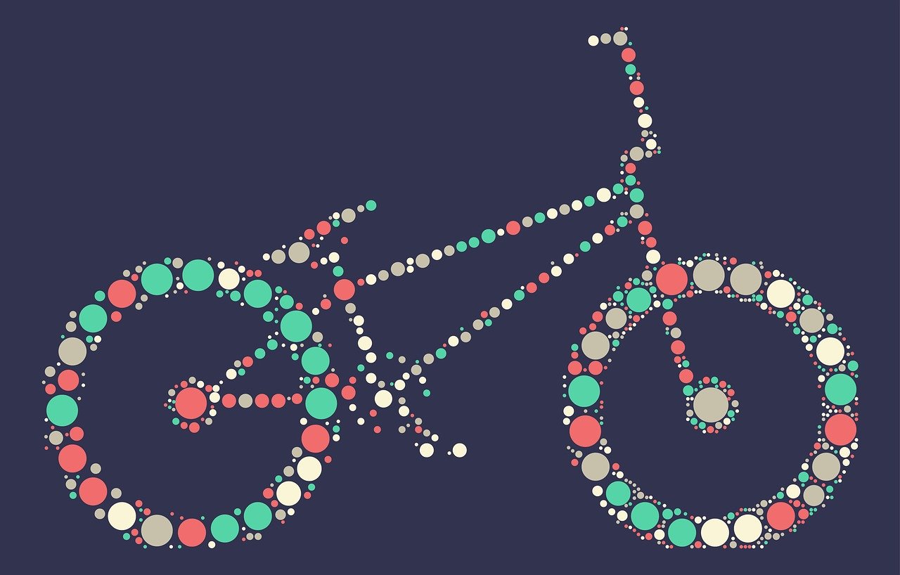 白條鴨行情深度解析，市場走勢與趨勢預測